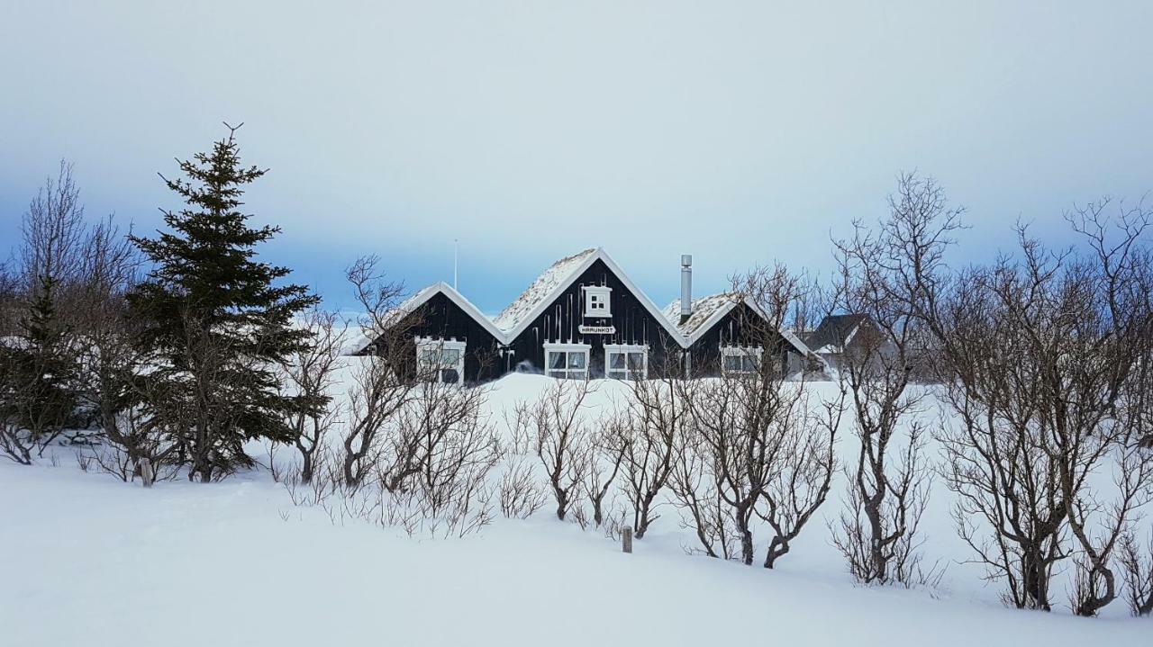 Veithilundur Þingvellir Golden Circle Cottage מראה חיצוני תמונה