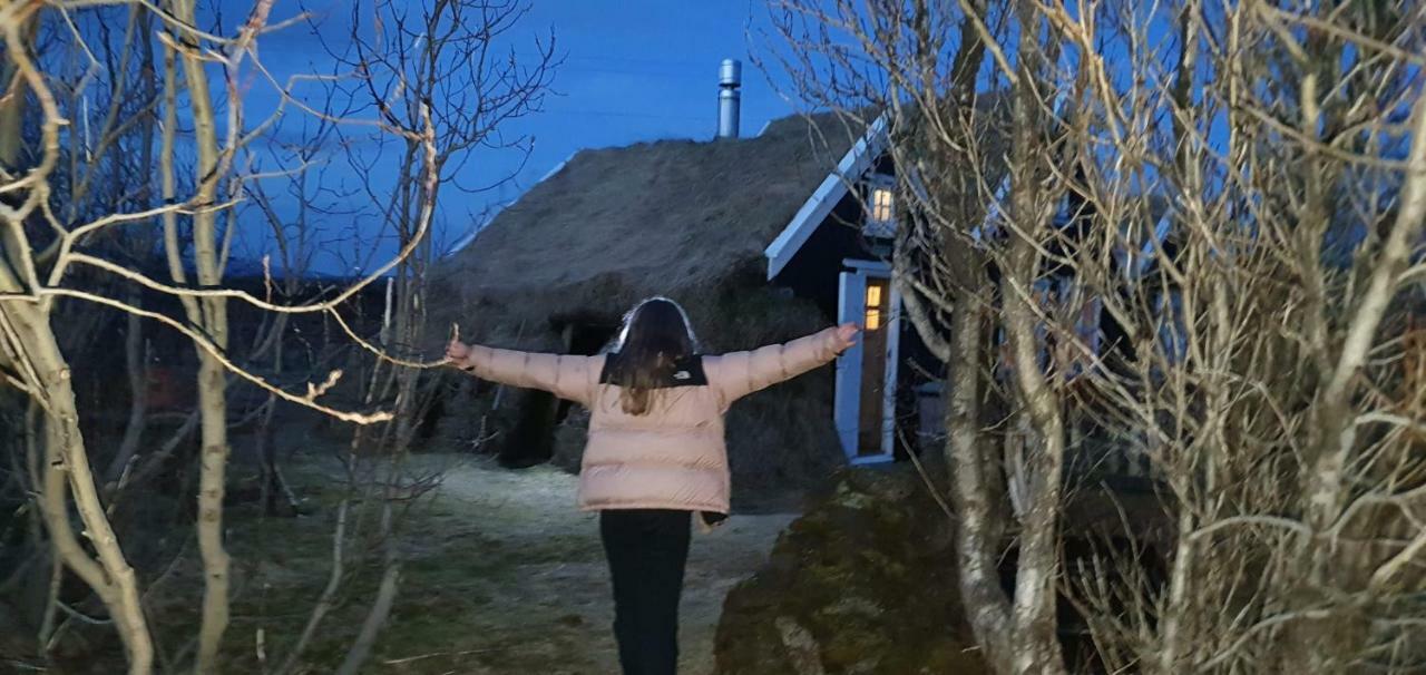 Veithilundur Þingvellir Golden Circle Cottage מראה חיצוני תמונה